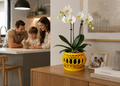 Modern Luxe Orchid Pot | Elegant Geometric Planter