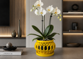 Modern Luxe Orchid Pot | Elegant Geometric Planter